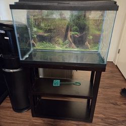 29 Gallon Aquarium 