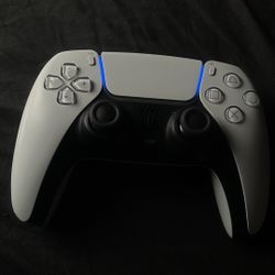 White PS5 Controller 