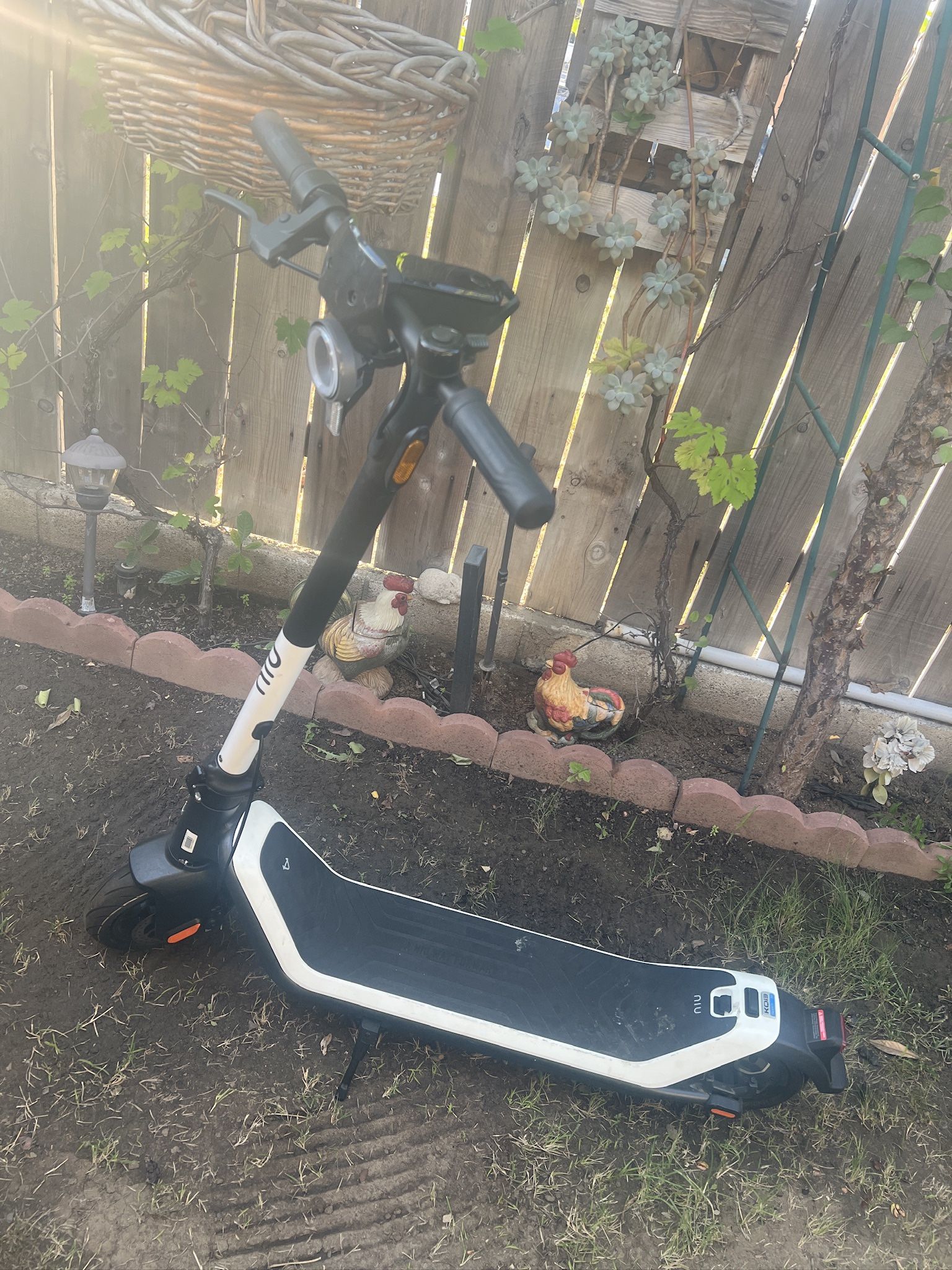 NIU KQi3 Sport Electric Scooter 17.4mph