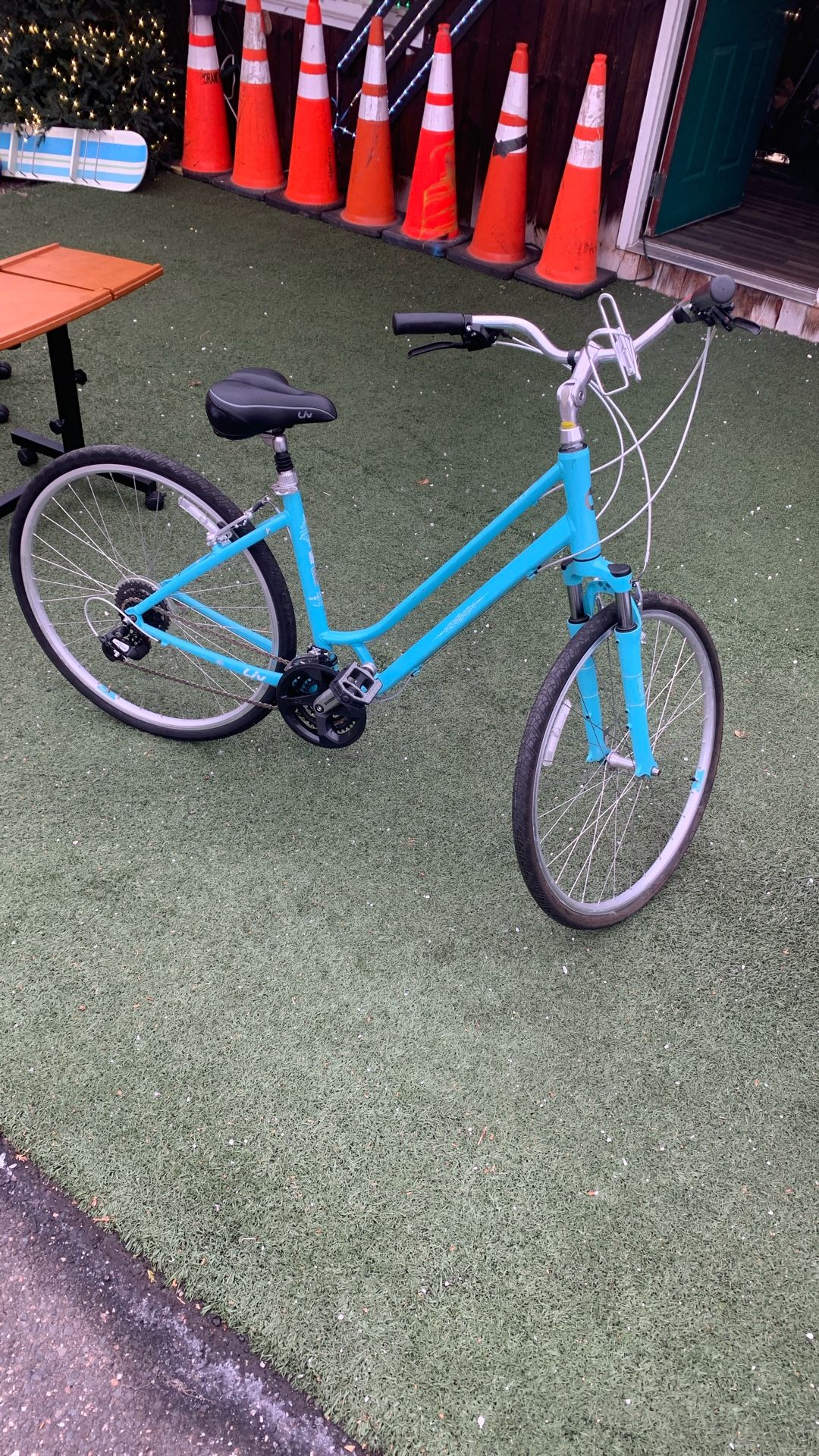 FlowerIsh Fs Bicycle