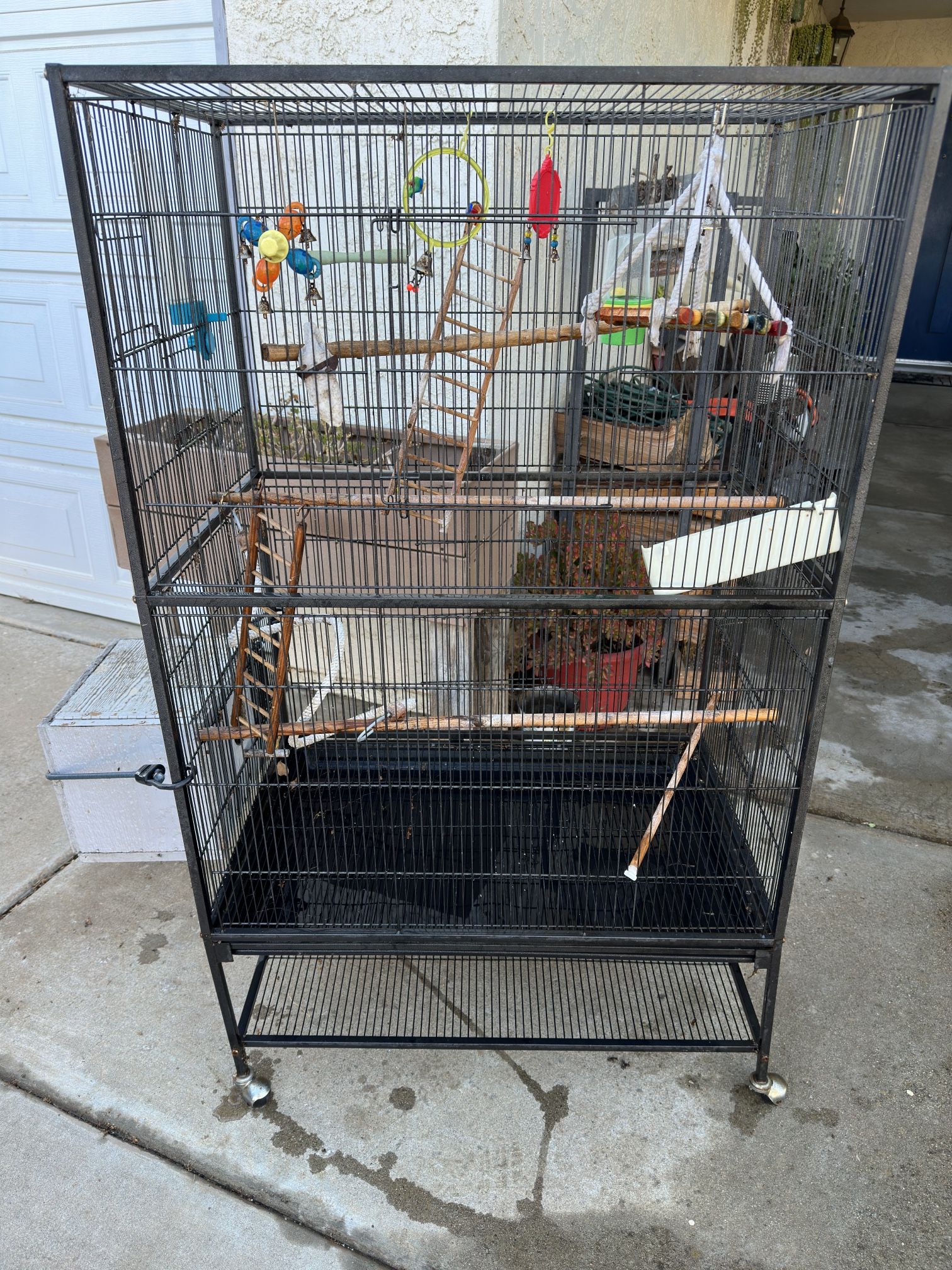 Bird Cage