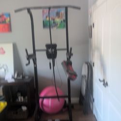 Pull Up bar( City Birds)
