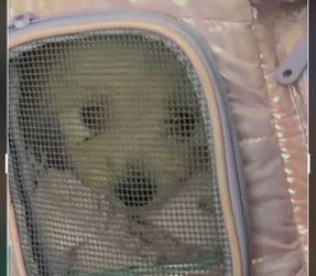 Cute backpack