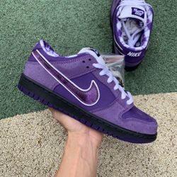 Concepts x Nike SB Dunk Low