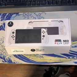 Nintendo Switch Case Grip