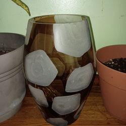 Thick Glass Flower Vase 