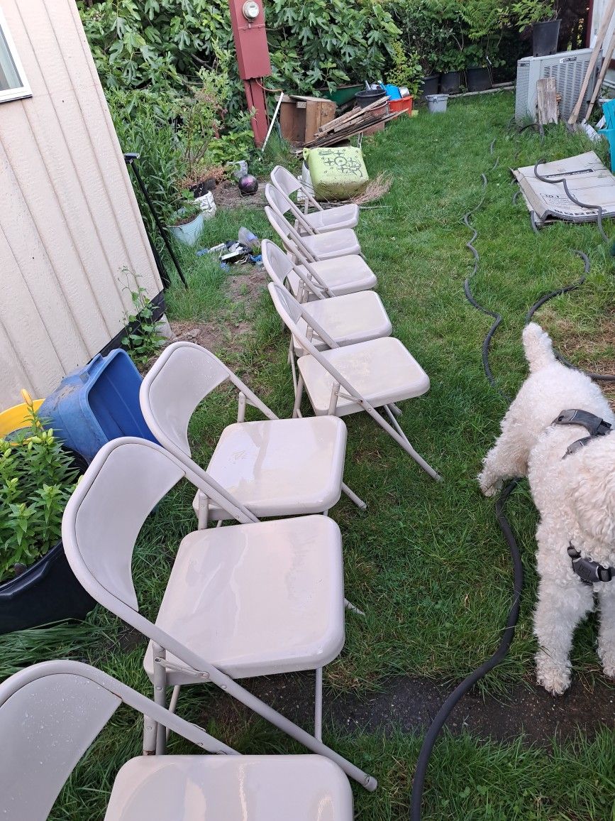 8--Metal Folding Chairs 