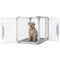 DIGGS Dog Crate - Medium