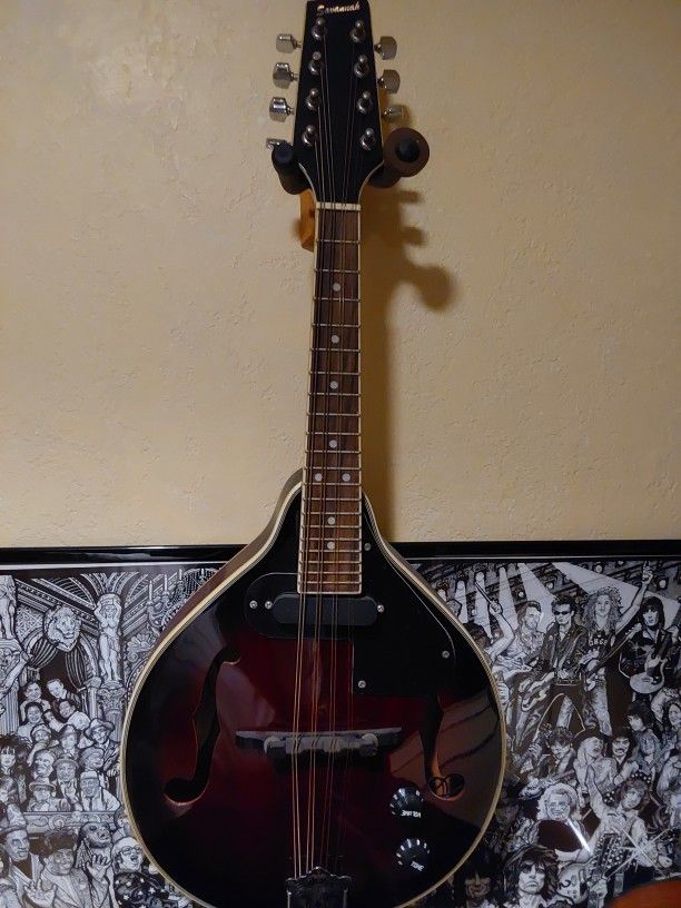 MANDOLIN
