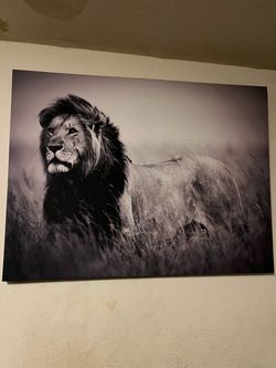 Lion Wall Decor