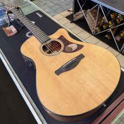 Ibanez AAM50CE Open Pore Natural Concert Acoustic Electric Guitar NEW!