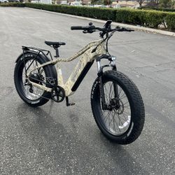 Electric Bike : Young Electric Escout Pro