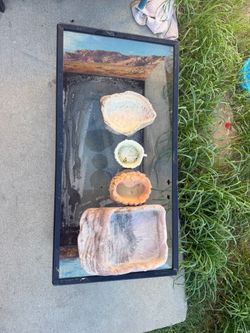 Reptile tank and accessories