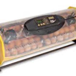 Incubator Brisnea 40