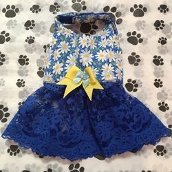 Extra small reversible dog dress