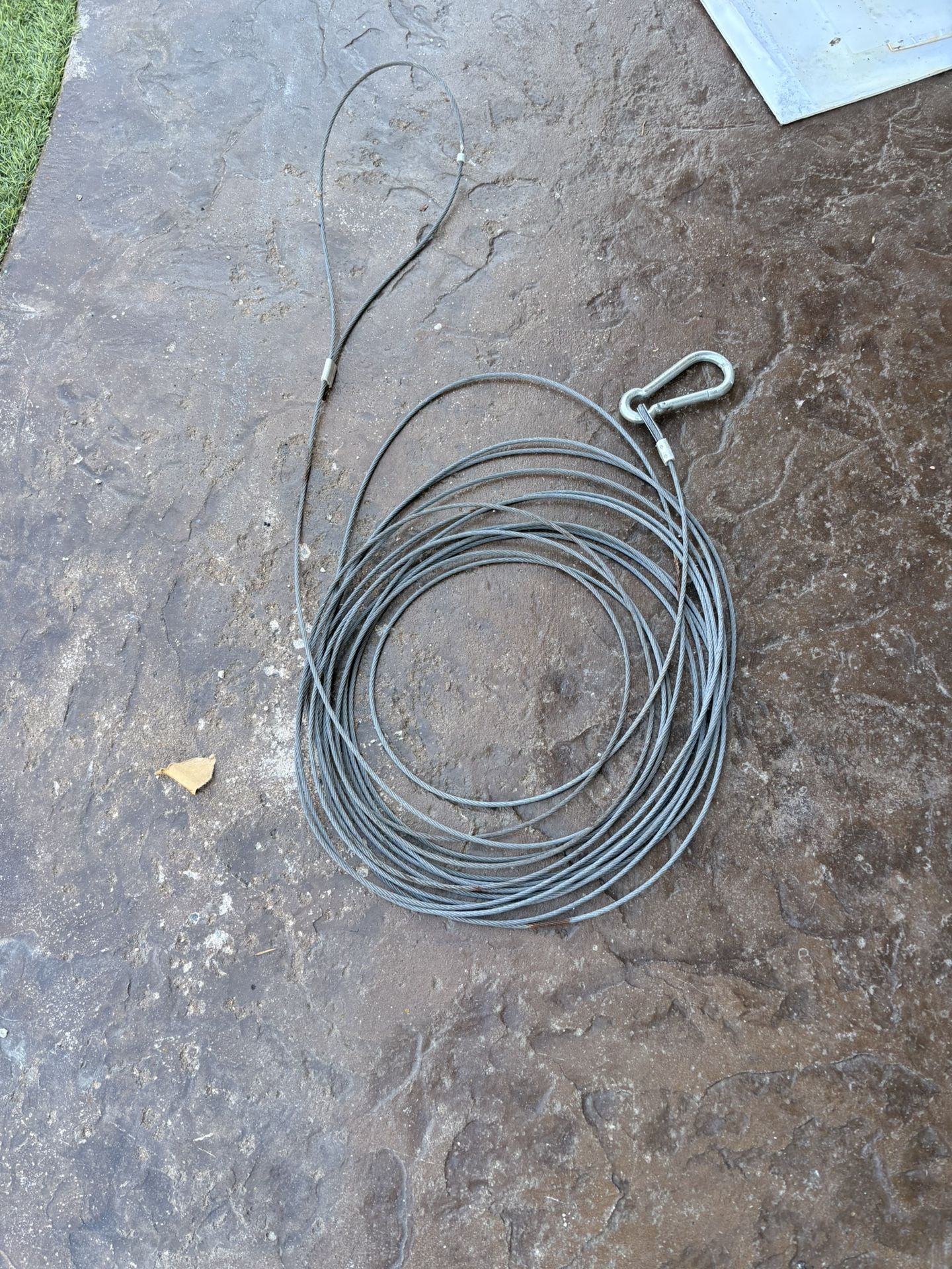 Steel Cable With Clip (great For Big dogs)