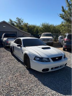 99 Mustang gts