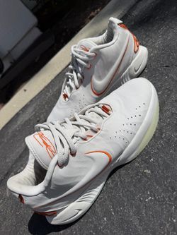 Nike LeBron 21 “Akoya”