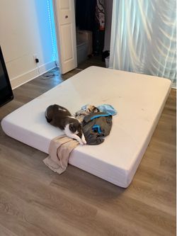 Full 8 Inch Mattress Topper From Target