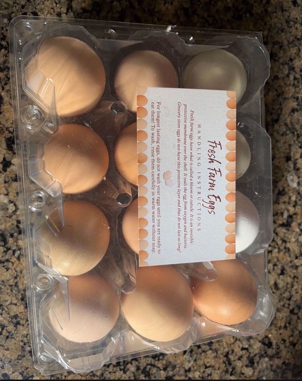 $6 Dozen Fresh Unwashed eggs from Young Backyard Hens