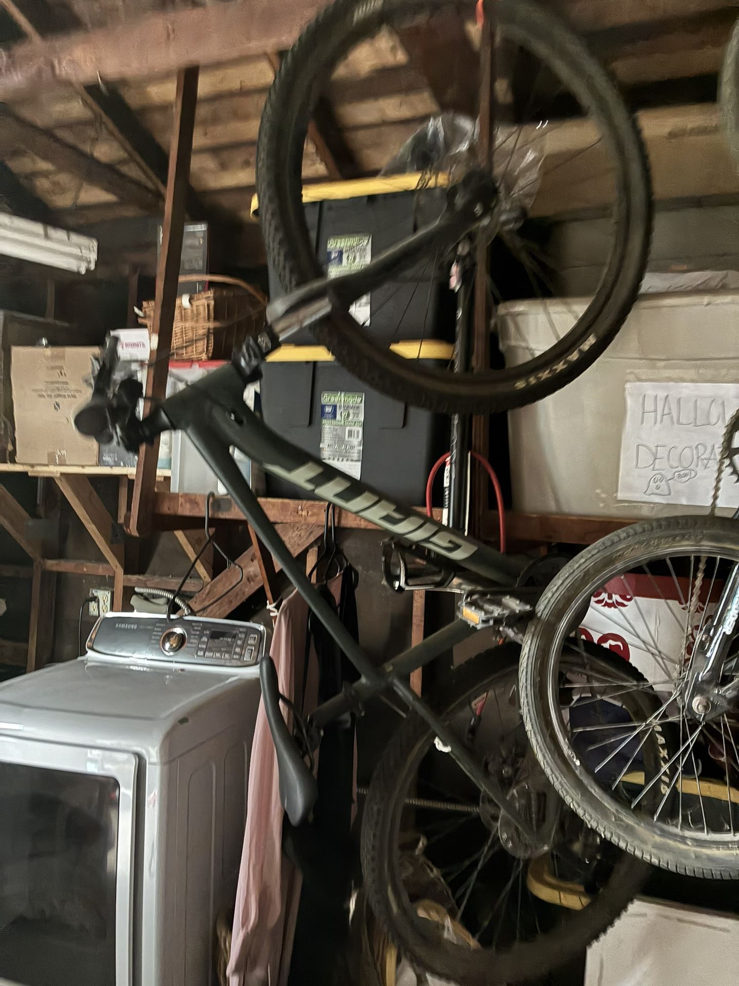 Giant Bike