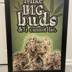 Big Buds Photo