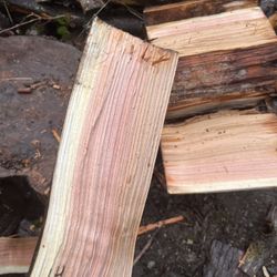 Firewood