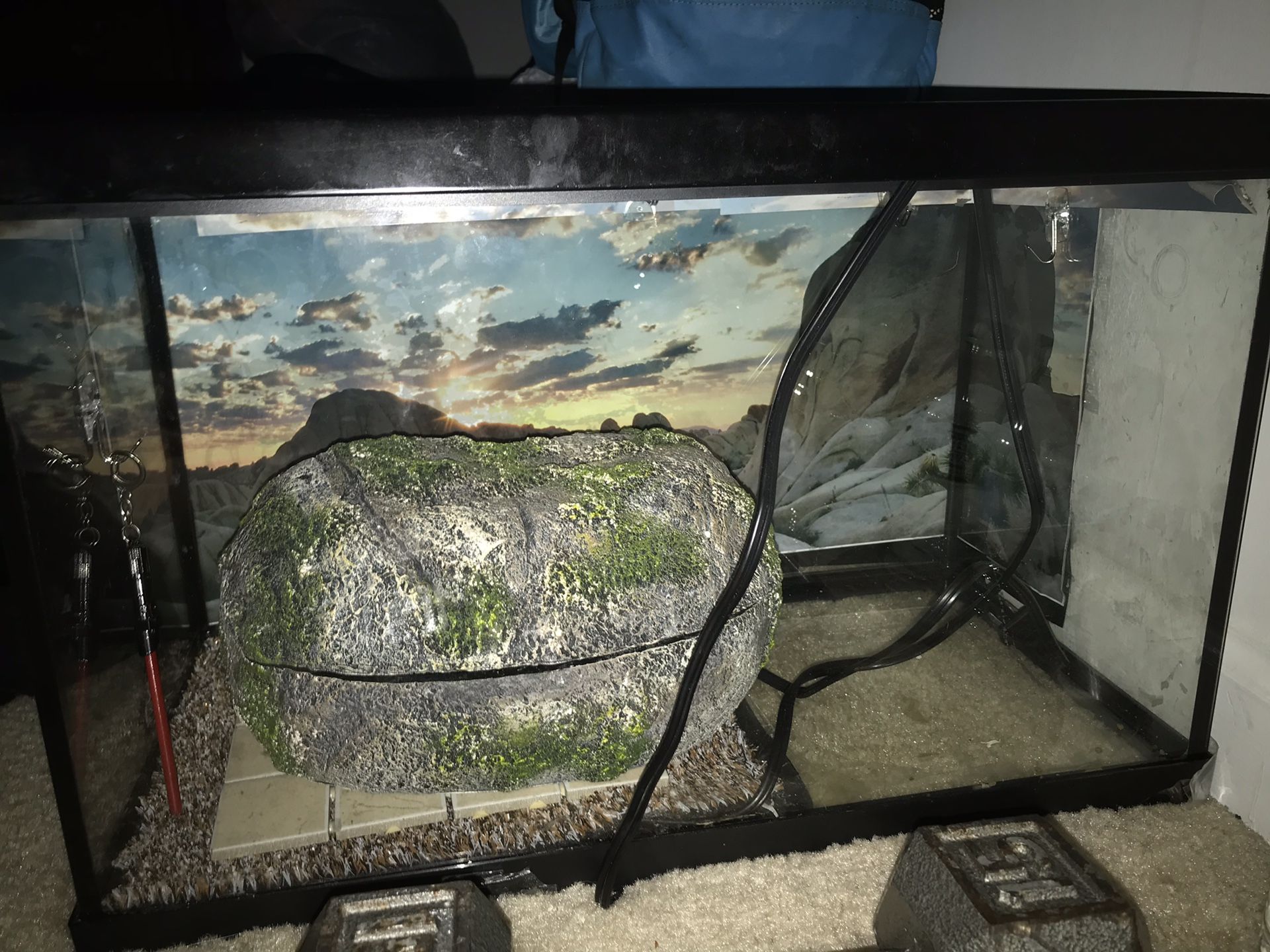 Reptile tank