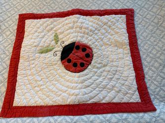 Lady Bug Pillow Case