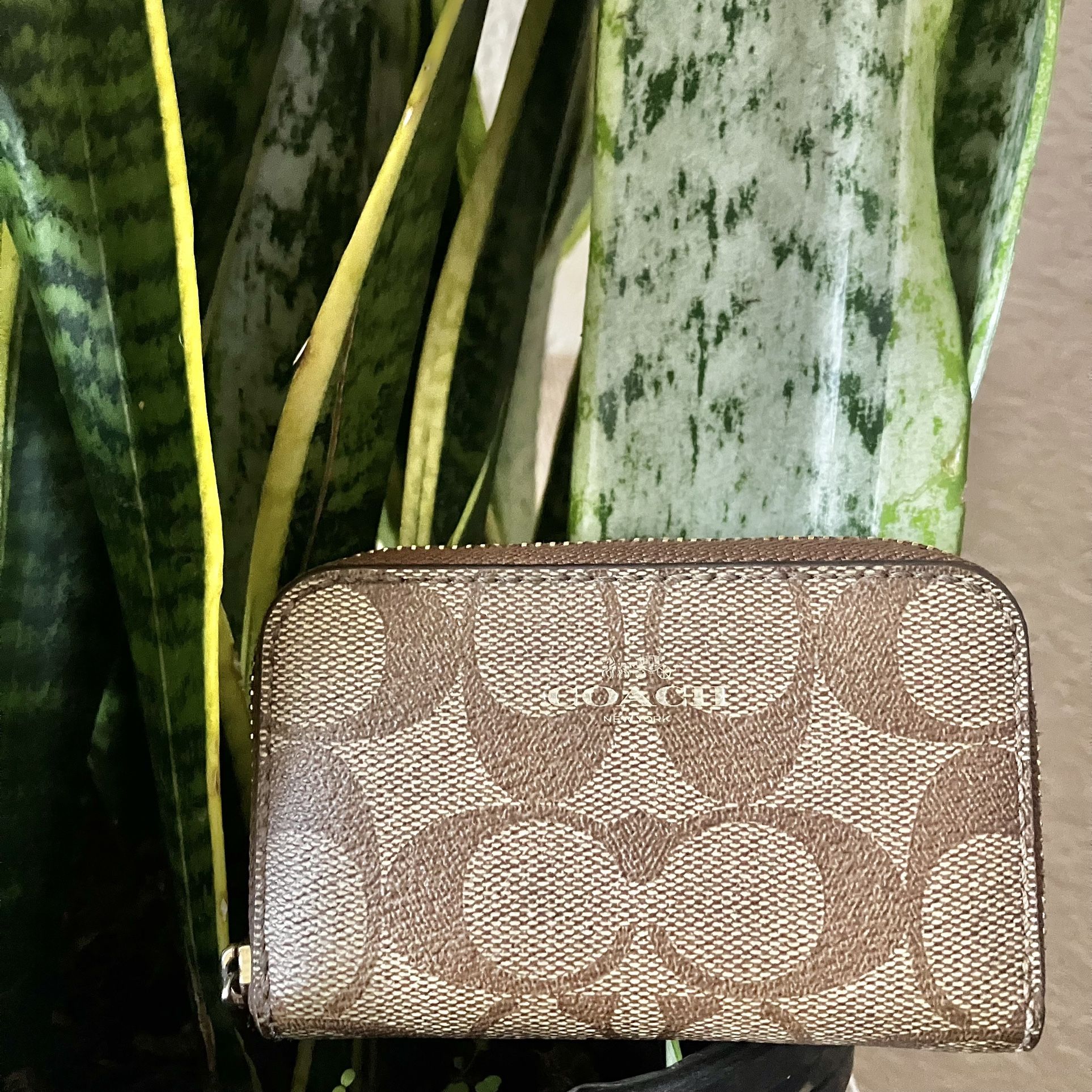 Coach mini wallet