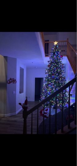 12ft Costco Christmas tree