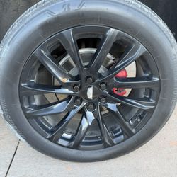 22” Bridgestone Tires 275/50R22