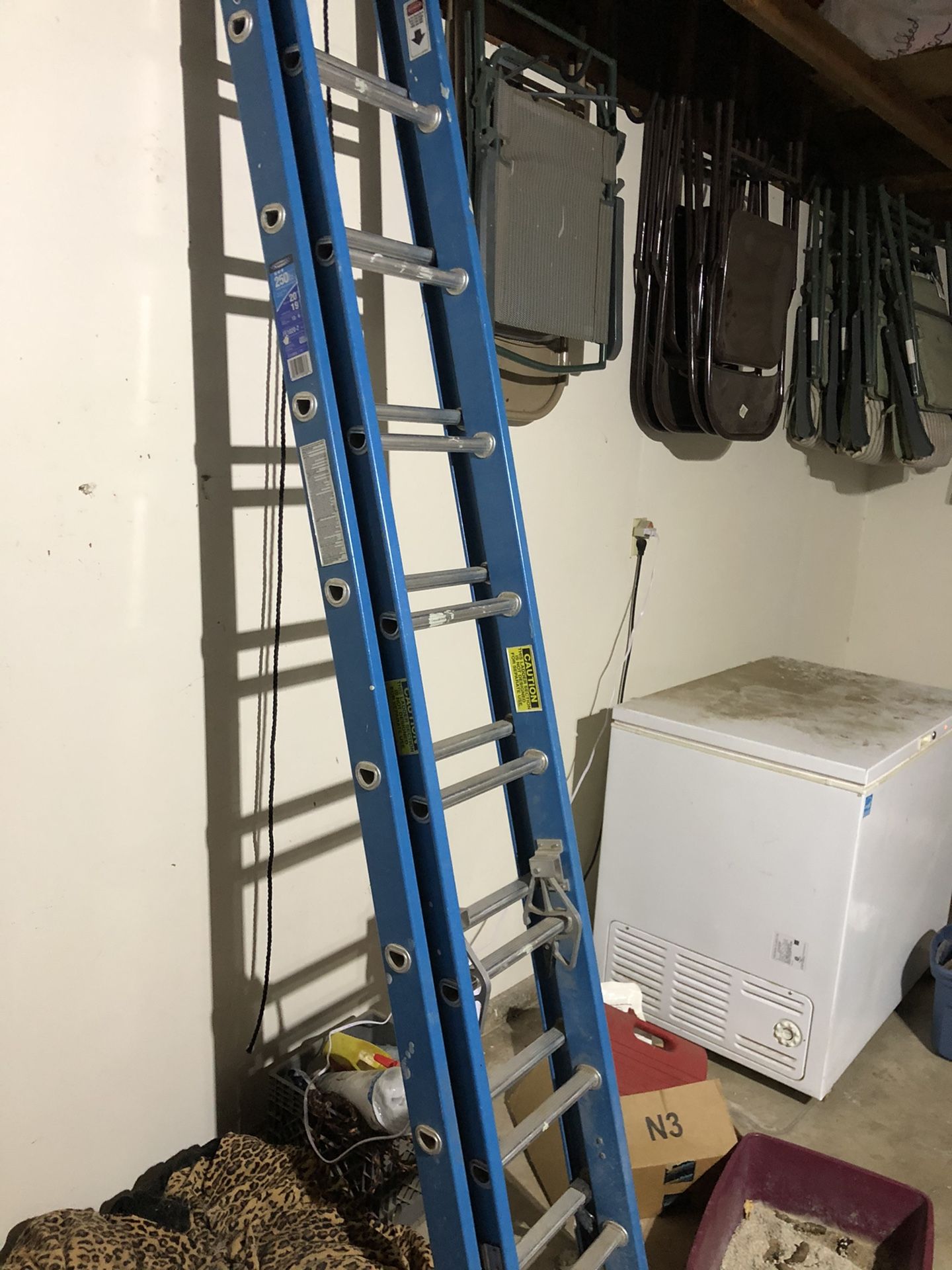 20’ ladder $100 obo
