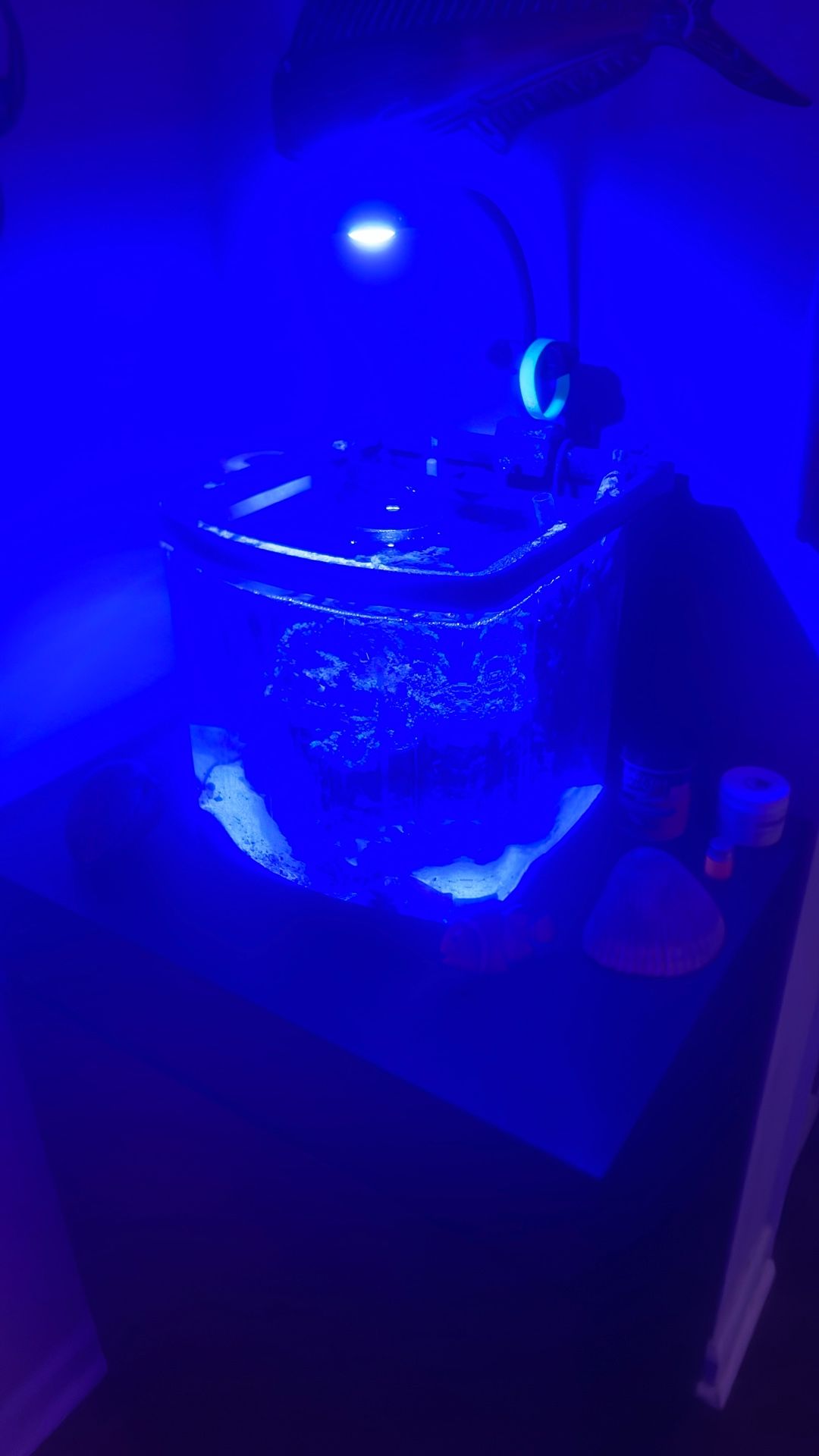 Jbj Nano Tank Reef Tank