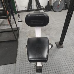 Nautilus Utility Bench