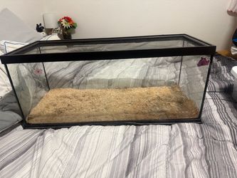 Glass Reptile Terrarium with Screen Lid