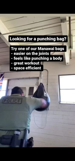 Punching Bag