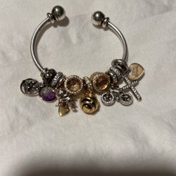Pandora Bangle Plus Charm