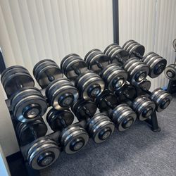 55-130lb Hampton Eclipse Premium Dumbbells Gym Fitness Equipment Weights