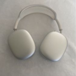 Apple Headphones 