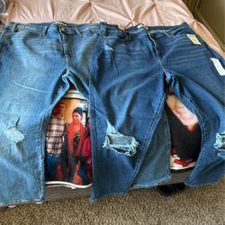 Levi Signature Jeans