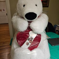 Coca Cola Bear