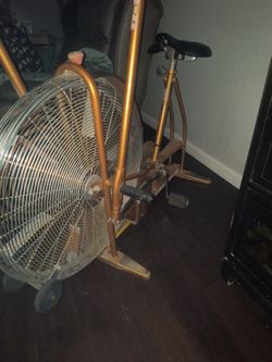 Schwinn Dynamics 22