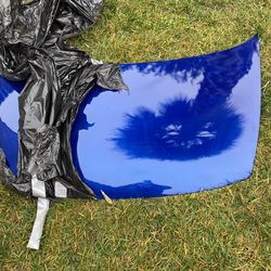 06-11 Honda Civic Si Freshly Painted Hood.