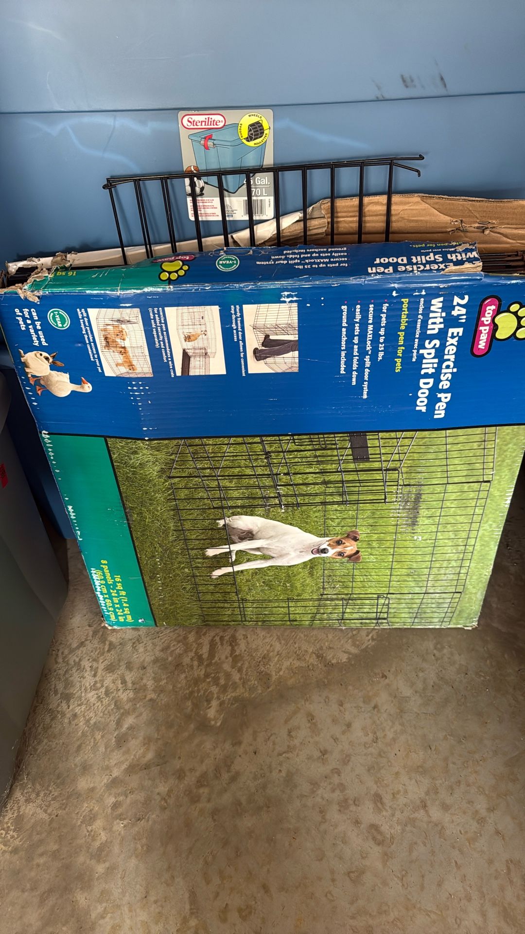 Dog Fence