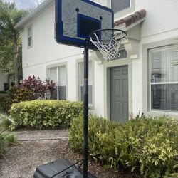 Basketball Hoop