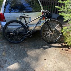 Specialized Mountain Bike 