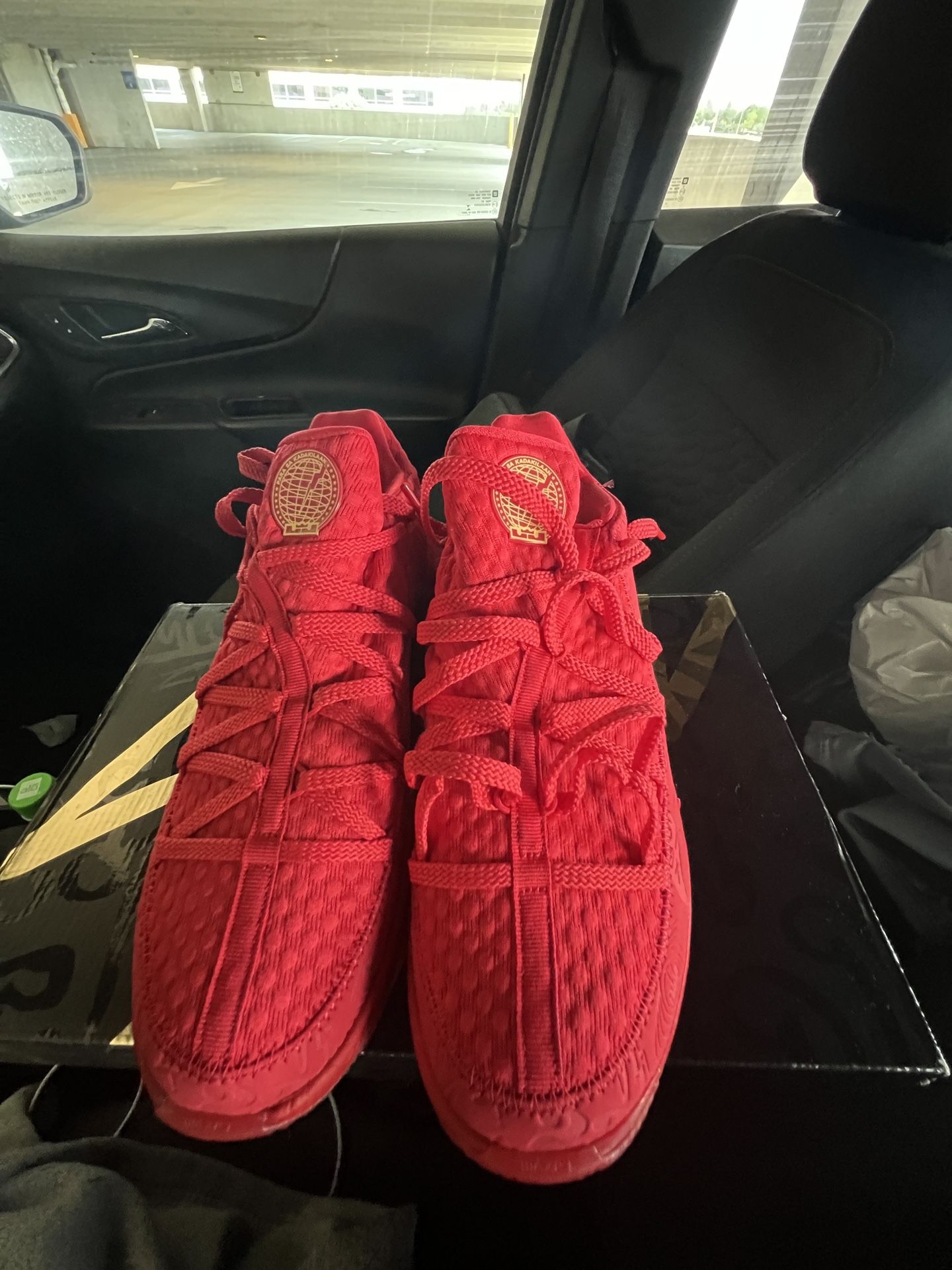 Running Shoes Nike lebron 17 Red (Price negotioable)