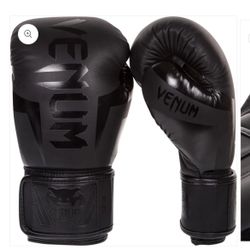 Boxing Gloves 