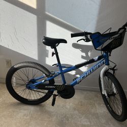 Big Kids Bike